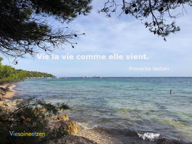 La Vie Comme Elle Vient