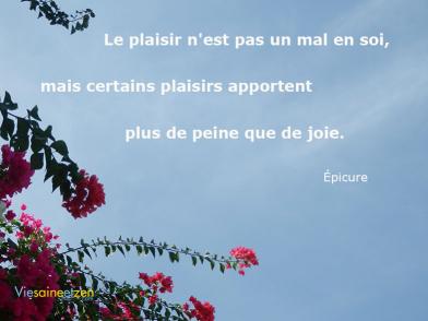 Le Plaisir Nest Pas Un Mal V2