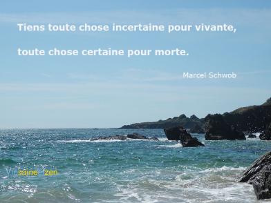 Toute Chose Incertaine Vivante