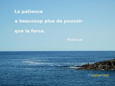 La Patience