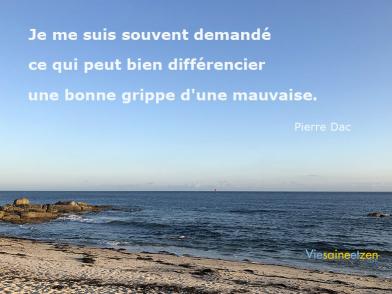 Bonne Ou Mauvaise Grippe