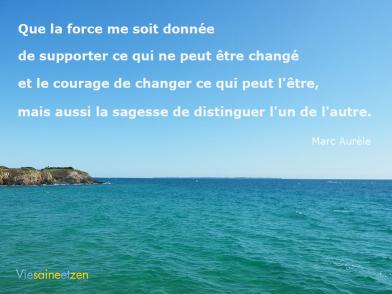 Supporter Ce Qui Ne Peut Etre Change